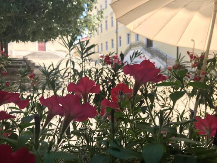 Feel The City Atmosphere Ровинь Экстерьер фото